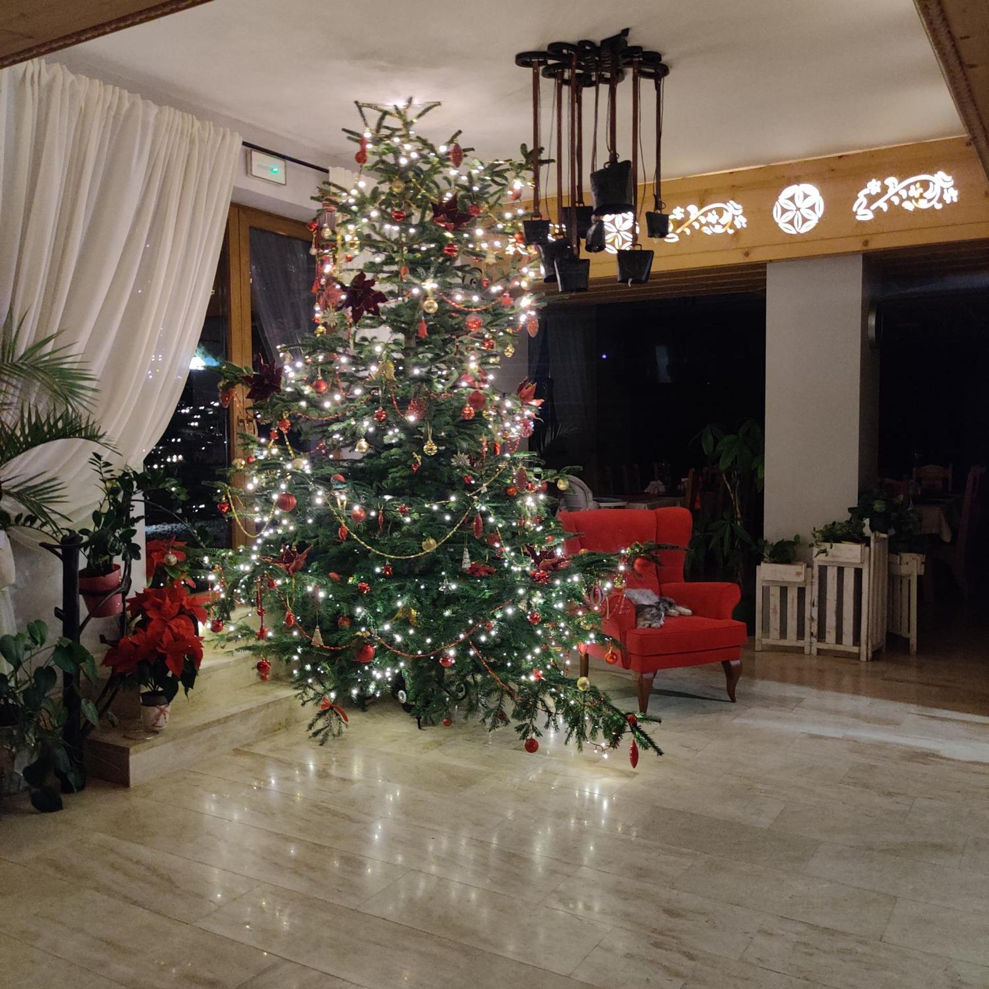 מורזאסיחלה Eco Willa Karpatia Ski&Wellness מראה חיצוני תמונה
